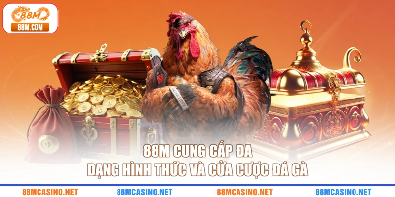 88M cung cấp đa dạng hình thức và cửa cược đá gà