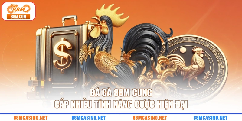 Đá gà 88M cung cấp nhiều tính năng cược hiện đại
