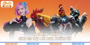 Đá Gà 88M - Phát Sóng 125 Trận Mỗi Ngày, Thưởng Lớn