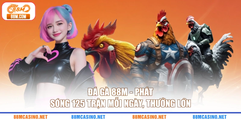 Đá Gà 88M - Phát Sóng 125 Trận Mỗi Ngày, Thưởng Lớn