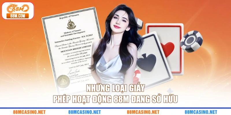 Những loại giấy phép hoạt động 88M đang sở hữu
