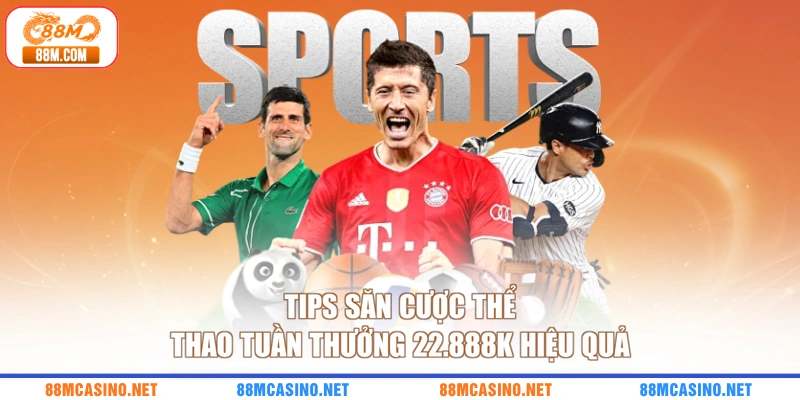 Tips săn cược thể thao tuần thưởng 22.888k hiệu quả